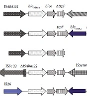 Jundishapur Journal of Microbiology 