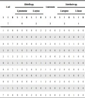 Potential Effectiveness of Piperacillin/Tazobactam in Treating Pediatric Patients Infected with IMP-Type Carbapenemase-Producing Enterobacteriaceae
