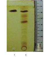 Elucidation and Identification of an Antifungal Compound from Pseudomonas aeruginosa DA3.1 Isolated from Soil in Vietnam