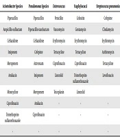 Evaluation of Bacteria Causing Ventilator-Associated Pneumonia in Patients Admitted to Internal ICUs and Internal Wards at Shiraz Teaching Hospitals, 2017 - 2018