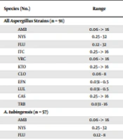 In Vitro Antifungal Activity of Luliconazole, Efinaconazole, and Nine Comparators Against Aspergillus and Candida Strains Isolated from Otomycosis