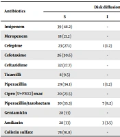 Molecular Detection of Carbapenemases and Extended-Spectrum β-Lactamases-Encoding Genes in Clinical Isolates of Pseudomonas aeruginosa in Iran