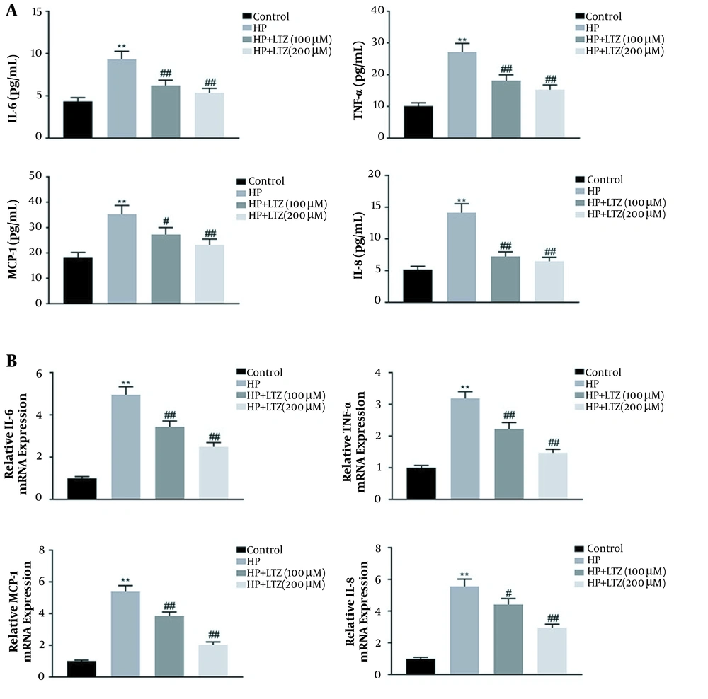 Ligustrazine attenuated <i>Helicobacter pylori</i>-induced inflammation in GES-1 cell line. (A) Ligustrazine treatment attenuated <i>H. pylori</i>-induced levels of IL-6/8, TNF-α, and MCP-1 in GES-1 cell line. (B) Ligustrazine treatment attenuated <i>H. pylori</i>-induced mRNA expression levels of IL-6/8, TNF-α, and MCP-1 in GES-1 cell line. ** Vs. control, P < 0.01. #, ## Vs. <i>H. pylori</i>, P < 0.05, P < 0.01. Ligustrazine attenuated <i>Helicobacter pylori</i>-induced inflammation in GES-1 cell line. (A) Ligustrazine treatment attenuated <i>H. pylori</i>-induced levels of IL-6/8, TNF-α, and MCP-1 in GES-1 cell line. (B) Ligustrazine treatment attenuated <i>H. pylori</i>-induced mRNA expression levels of IL-6/8, TNF-α, and MCP-1 in GES-1 cell line. ** Vs. control, P < 0.01. #, ## Vs. <i>H. pylori</i>, P < 0.05, P < 0.01.