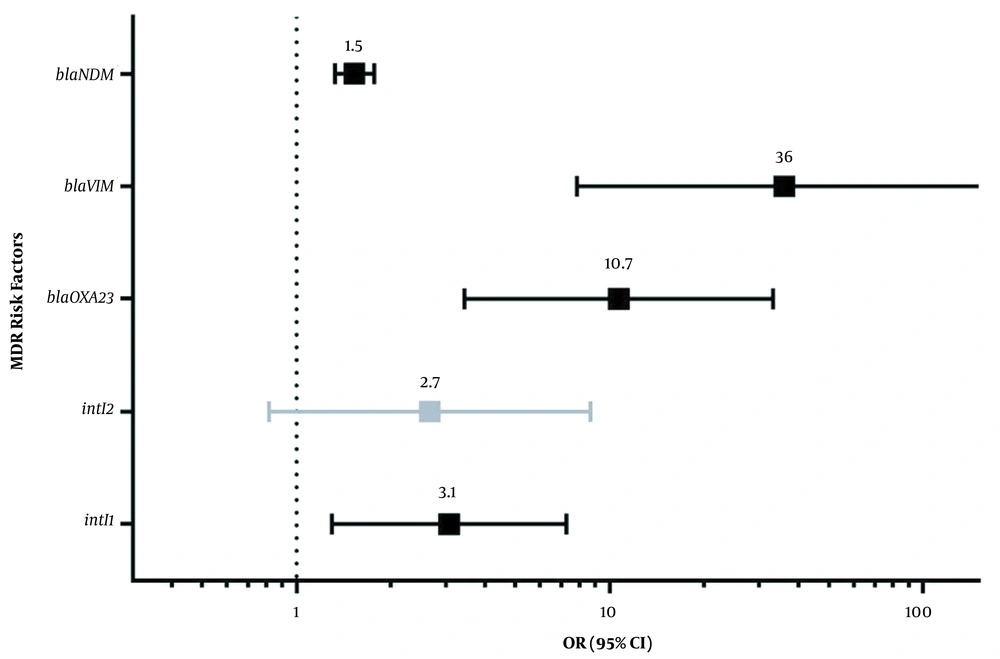 Odds ratio and 95% confidence interval of risk factors (having the <i>intI1</i>, <i>bla</i><sub>OXA23</sub>, <i>bla</i><sub>VIM</sub>, <i>bla</i><sub>NDM</sub>, or <i>intI2</i>) for acquiring multidrug-resistant phenotypes in <i>Acinetobacter baumannii</i> isolates. The numbers on the bars show the probability of acquired MDR phenotype in each considered risk factor. All of these risk factors were statistically significant except <i>intI2</i>. The dotted vertical line shows a significance threshold. Odds ratio and 95% confidence interval of risk factors (having the <i>intI1</i>, <i>bla</i><sub>OXA23</sub>, <i>bla</i><sub>VIM</sub>, <i>bla</i><sub>NDM</sub>, or <i>intI2</i>) for acquiring multidrug-resistant phenotypes in <i>Acinetobacter baumannii</i> isolates. The numbers on the bars show the probability of acquired MDR phenotype in each considered risk factor. All of these risk factors were statistically significant except <i>intI2</i>. The dotted vertical line shows a significance threshold.