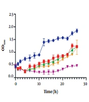 Isolation and Identification of a Wastewater Siphoviridae Bacteriophage Targeting Multidrug-resistant Klebsiella pneumoniae