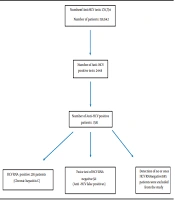 Updating the Signal-to-cutoff Level to Reduce Anti-hepatitis C Virus False Positivity