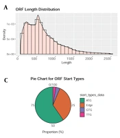 Characteristics of Intestinal Flora in Pregnant Women with Mild Thalassemia Revealed by Metagenomics