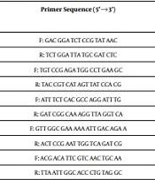 Molecular Characterization of Quinolone Resistance Determinants in Non-Typhoidal Salmonella Strains Isolated in Tehran, Iran