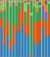 Microbiome Analysis in Patients with Colorectal Cancer by 16S Ribosomal RNA Sequencing in the Southeast of Iran