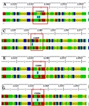 RpoB Gene Mutation Characteristics of Rifampicin-resistant Tuberculosis in Anqing, China