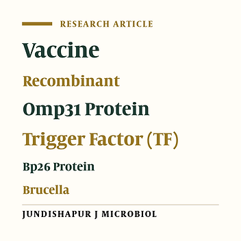 A Recombinant Chimera Protein as a Novel Brucella Subunit Vaccine: Protective Efficacy and Induced Immune Response in BALB/c Mice