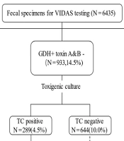 Evaluation of Two Rapid Diagnostic Clostridioides difficile Infection Tests in a Chinese Hospital: A Real-world Analysis