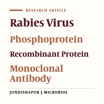 Prokaryotic Expression and Monoclonal Antibody Preparation of Rabies Virus Phosphoprotein
