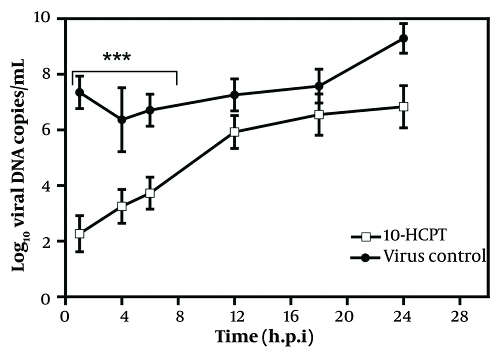 The real-time polymerase chain reaction was performed to evaluate the number of herpes simplex virus type 1 DNA copies after treating with (S)-10-hydroxycamptothecin (a), in the presence or absence of (S)-10-hydroxycamptothecin, compared to the dimethyl sulfoxide control (consisting of the cells, dimethyl sulfoxide, and virus). Data are presented as mean values of triplicate with its SD. Significant differences were found among herpes simplex virus type 1 DNA levels up to 8 hours after infection from (S)-10-hydroxycamptothecin concerning dimethyl sulfoxide controls (consisting of the cells, dimethyl sulfoxide, and virus). (∗∗∗) indicates significant statistical differences between the treated groups and the dimethyl sulfoxide control (P < 0.0001). Analysis of variance/Dunnett tests were carried out as appropriate. The real-time polymerase chain reaction was performed to evaluate the number of herpes simplex virus type 1 DNA copies after treating with (S)-10-hydroxycamptothecin (a), in the presence or absence of (S)-10-hydroxycamptothecin, compared to the dimethyl sulfoxide control (consisting of the cells, dimethyl sulfoxide, and virus). Data are presented as mean values of triplicate with its SD. Significant differences were found among herpes simplex virus type 1 DNA levels up to 8 hours after infection from (S)-10-hydroxycamptothecin concerning dimethyl sulfoxide controls (consisting of the cells, dimethyl sulfoxide, and virus). (∗∗∗) indicates significant statistical differences between the treated groups and the dimethyl sulfoxide control (P < 0.0001). Analysis of variance/Dunnett tests were carried out as appropriate.