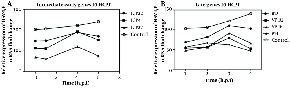 Effects of (S)-10-hydroxycamptothecin (3 × EC<sub>50</sub>) on the expression of herpes simplex virus type 1 genes (immediate-early, and late). A, A549 cells were infected with herpes simplex virus type 1 at 0.1 MOI and then treated with or without 3 × EC<sub>50</sub> of each compound. RNA was extracted at specified intervals, and a quantitative real-time polymerase chain reaction was performed using messenger RNA-specific primers. The gene transcription level at each time point was initially normalized by glyceraldehyde-3-phosphate dehydrogenase (GAPDH) and then compared with the virus control group into 24 hours after infection. Effects of (S)-10-hydroxycamptothecin (3 × EC<sub>50</sub>) on the expression of herpes simplex virus type 1 genes (immediate-early, and late). A, A549 cells were infected with herpes simplex virus type 1 at 0.1 MOI and then treated with or without 3 × EC<sub>50</sub> of each compound. RNA was extracted at specified intervals, and a quantitative real-time polymerase chain reaction was performed using messenger RNA-specific primers. The gene transcription level at each time point was initially normalized by glyceraldehyde-3-phosphate dehydrogenase (GAPDH) and then compared with the virus control group into 24 hours after infection.