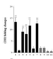 Azole Resistance in Candida albicans Isolates from Oropharyngeal Candidiasis is Associated with ERG11 Mutation and Efflux Overexpression
