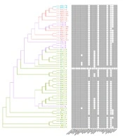 Analysis of Drug Resistance, Virulence, and Phylogeny of Klebsiella pneumoniae in Patients with Different Infections