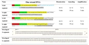 Cover image of the article: TaqMan Multiplex Real-time PCR Assay for Crimean-Congo Hemorrhagic Fever Virus Diagnosis Using Armored RNA Technology