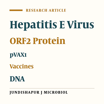 Cloning and Expression of a Secretory form of Truncated ORF2 (aa 112-607) from Hepatitis E Virus in the pVAX1 Vector