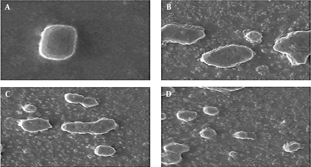 A, scanning electron microscopy micrographs of untreated <i>Acinetobacter baumannii</i>; B, <i>Acinetobacter baumannii</i> cell treated with Ib-AMP4 at fractional inhibitory concentration values; C, <i>Acinetobacter baumannii</i> cell treated with E50-52 at fractional inhibitory concentration values; D, <i>Acinetobacter baumannii</i> cell treated with E50-52 and Ib-AMP4 at fractional inhibitory concentration (FIC) values A, scanning electron microscopy micrographs of untreated <i>Acinetobacter baumannii</i>; B, <i>Acinetobacter baumannii</i> cell treated with Ib-AMP4 at fractional inhibitory concentration values; C, <i>Acinetobacter baumannii</i> cell treated with E50-52 at fractional inhibitory concentration values; D, <i>Acinetobacter baumannii</i> cell treated with E50-52 and Ib-AMP4 at fractional inhibitory concentration (FIC) values