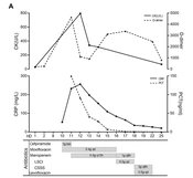 Sepsis and Necrotizing Fasciitis Caused by Vibrio vulnificus in an Old Woman with Cerebral Infarction