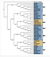 Jundishapur J Microbiol