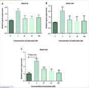 Cover image of the article: The Effect of Melatonin on the Expression of H19, MALAT, HOTAIR, THRIL, and NOS Activity in Leishmania major-Infected Macrophages