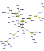 Multiple-Locus Variable-Number Tandem Repeat Analysis Genotyping of Biofilm-Producing Pseudomonas aeruginosa Clinical Isolates