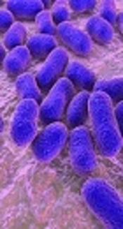 Moderate Genetic Diversity with Extensive Antimicrobial Resistance Among Multidrug-Resistant Acinetobacter baumannii in a Referral Hospital in Northeast Iran