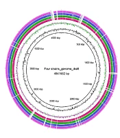 Genomic Characterization and Antimicrobial Resistance of Four Mcr-1 Escherichia coli Strains Isolated from Human and Environment Sources, Hainan Province, Tropical China