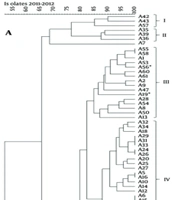 Cover image of the article: Comparison of Beta-Lactamase Profiles and Epidemiology of Multi-Drug Resistant Acinetobacter baumannii Isolates in Southwest Turkey: 2011 vs. 2019 Study