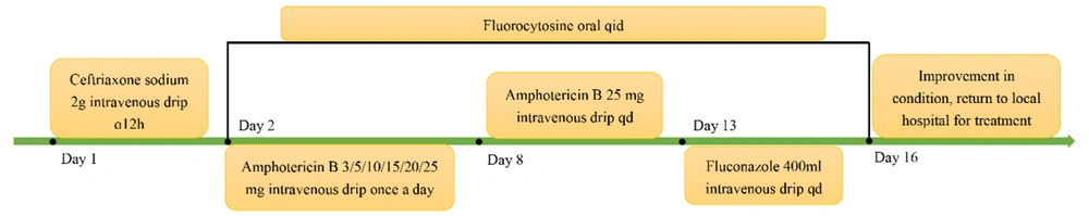 Patient treatment timeline Patient treatment timeline