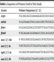 Molecular Evaluation of Aminoglycoside Resistance and Biofilm Formation Potential in Escherichia coli Isolates Collected from Hospitalized Patients