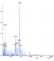 Effect of Glucuronoxylomannan of Trichosporon asahii on the ATP Content of Macrophages