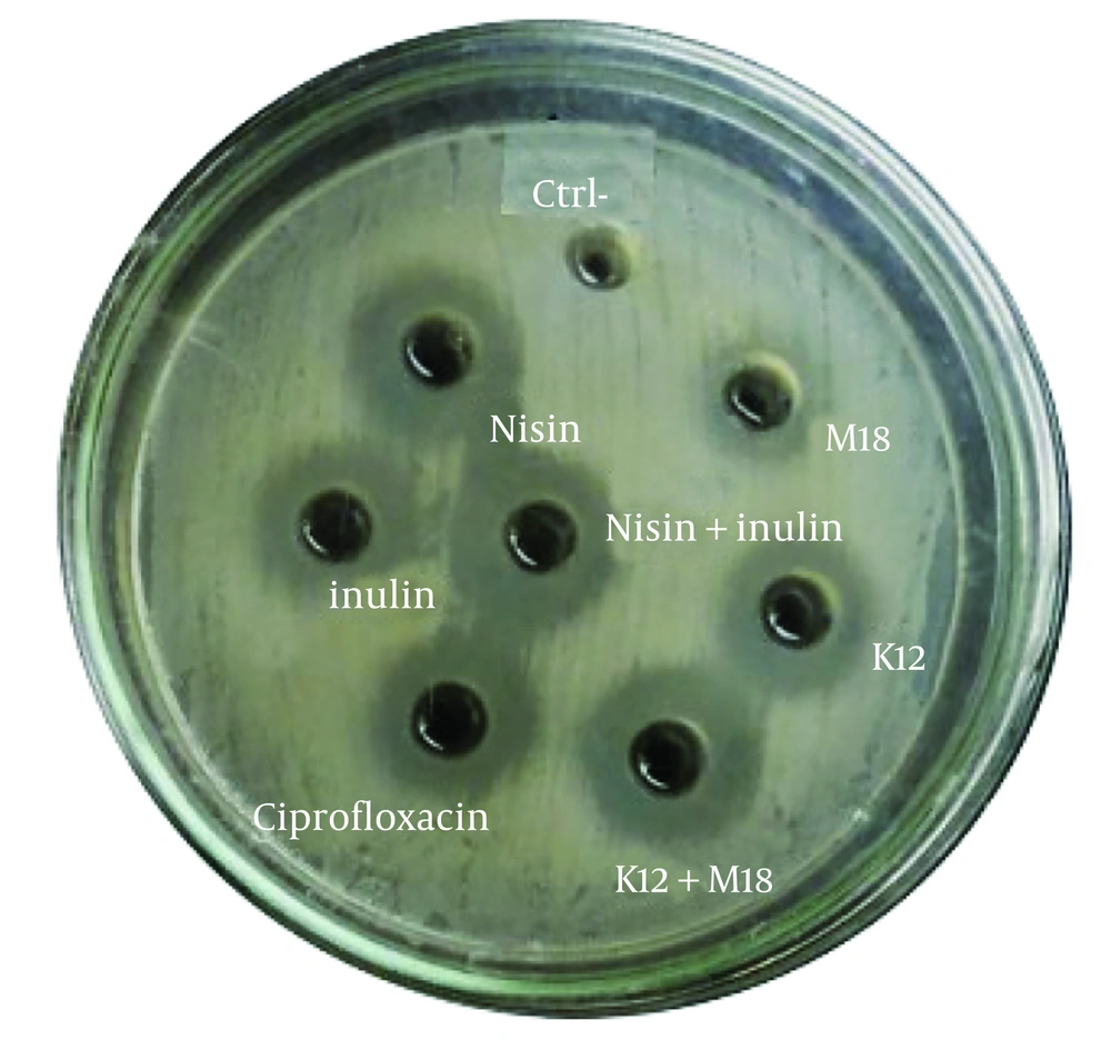 Average inhibition zones of <i>Streptococcus salivarius</i> K12, <i>S. salivarius</i> M18, nisin and inulin alone and in combination with each other against <i>S. mutans</i> Average inhibition zones of <i>Streptococcus salivarius</i> K12, <i>S. salivarius</i> M18, nisin and inulin alone and in combination with each other against <i>S. mutans</i>