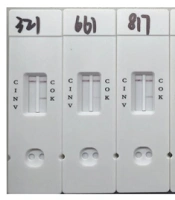 Methodology Comparison of Multiple Phenotypic and Genotypic Tests in Carbapenem-Resistant Klebsiella pneumoniae