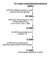 Helicobacter pylori Infection and Iron Deficiency Anemia: A Mendelian Randomization Study