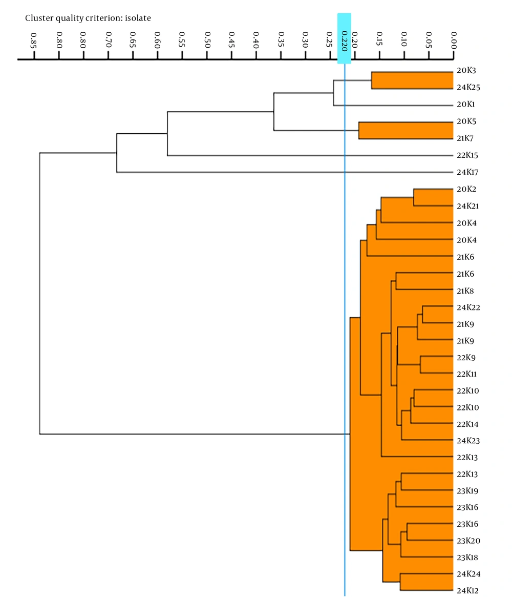 Fourier-transform infrared spectroscopy (FTIR) typing of 25 carbapenem-resistant <i>Klebsiella pneumoniae</i> (CRKP) strains Fourier-transform infrared spectroscopy (FTIR) typing of 25 carbapenem-resistant <i>Klebsiella pneumoniae</i> (CRKP) strains