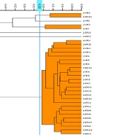 Analysis of the Prevalence, Drug Resistance Genes and Evolution of Carbapenem-Resistant Klebsiella pneumoniae in Lishui, China from 2015 to 2024