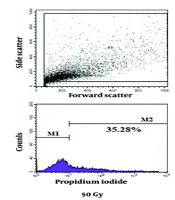 Exploring the Application of Gamma Radiation-Attenuated Toxoplasma gondii Tachyzoites: A Promising Vaccine Candidate Against Toxoplasmosis
