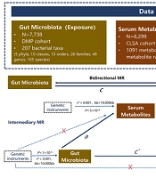 Causal Relationship Between Gut Microbiota, Serum Metabolites and Inflammatory Bowel Disease: A Mendelian Randomization Study