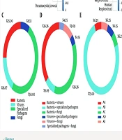 Jundishapur J Microbiol