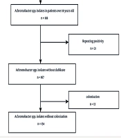 A Decade-Long Study Focused on the Clinical and Microbiological Assessment of Patients Infected by Achromobacter Species