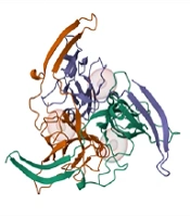 Computational Identification of Phytochemical Inhibitors Against White Spot Syndrome Virus dUTPase: A Potential Antiviral Approach