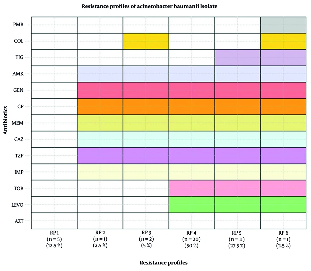 Resistance profiles of <i>Acinetobacter baumannii</i> isolates against tested antibiotics: The heatmap displays resistance patterns of 40 clinical <i>A. baumannii</i> isolates grouped into six distinct resistance profiles (RP1–RP6). Rows represent antibiotics tested: Polymyxin B (PMB), colistin (COL), tigecycline (TIG), amikacin (AMK), gentamicin (GEN), ciprofloxacin (CP), meropenem (MEM), ceftazidime (CAZ), piperacillin/tazobactam (TZP), imipenem (IMP), tobramycin (TOB), levofloxacin (LEV), and aztreonam (AZT). Columns correspond to resistance profiles, with the number of isolates (n) and percentage of total isolates shown below each profile. RP1 (n = 5, 12.5%): Isolates susceptible to all tested antibiotics. RP2 (n = 1, 2.5%): Resistant to IMP, TZP, CAZ, MEM, CP, GEN, and AMK. RP3 (n = 2, 5%): Resistant to IMP, TZP, CAZ, MEM, CP, GEN, AMK, and COL. RP4 (n = 20, 50%): Multidrug-resistant (MDR) isolates showing resistance to LEV, TOB, IMP, TZP, CAZ, MEM, CP, GEN, and AMK. RP5 (n = 11, 27.5%): Resistance to LEV, TOB, IMP, TZP, CAZ, MEM, CP, GEN, AMK, and TIG. RP6 (n = 1, 2.5%): Resistance to LEV, TOB, IMP, TZP, CAZ, MEM, CP, GEN, AMK, TIG, COL, and PMB. Colors indicate resistance status per antibiotic per profile; shaded cells represent resistance, and white cells indicate susceptibility (total isolates: N = 40). Resistance profiles of <i>Acinetobacter baumannii</i> isolates against tested antibiotics: The heatmap displays resistance patterns of 40 clinical <i>A. baumannii</i> isolates grouped into six distinct resistance profiles (RP1–RP6). Rows represent antibiotics tested: Polymyxin B (PMB), colistin (COL), tigecycline (TIG), amikacin (AMK), gentamicin (GEN), ciprofloxacin (CP), meropenem (MEM), ceftazidime (CAZ), piperacillin/tazobactam (TZP), imipenem (IMP), tobramycin (TOB), levofloxacin (LEV), and aztreonam (AZT). Columns correspond to resistance profiles, with the number of isolates (n) and percentage of total isolates shown below each profile. RP1 (n = 5, 12.5%): Isolates susceptible to all tested antibiotics. RP2 (n = 1, 2.5%): Resistant to IMP, TZP, CAZ, MEM, CP, GEN, and AMK. RP3 (n = 2, 5%): Resistant to IMP, TZP, CAZ, MEM, CP, GEN, AMK, and COL. RP4 (n = 20, 50%): Multidrug-resistant (MDR) isolates showing resistance to LEV, TOB, IMP, TZP, CAZ, MEM, CP, GEN, and AMK. RP5 (n = 11, 27.5%): Resistance to LEV, TOB, IMP, TZP, CAZ, MEM, CP, GEN, AMK, and TIG. RP6 (n = 1, 2.5%): Resistance to LEV, TOB, IMP, TZP, CAZ, MEM, CP, GEN, AMK, TIG, COL, and PMB. Colors indicate resistance status per antibiotic per profile; shaded cells represent resistance, and white cells indicate susceptibility (total isolates: N = 40).