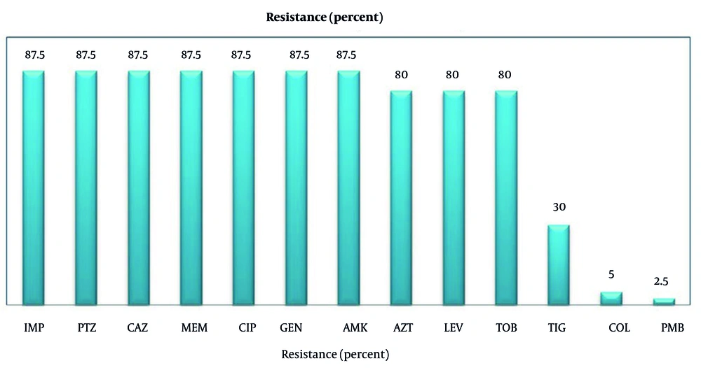 Relative frequency of antibiotic resistance among 40 clinical <i>Acinetobacter</i> isolates: This bar chart illustrates the proportion (%) of isolates categorized as resistant to each of the 14 antibiotics tested. Antibiotics are listed along the x-axis with their full names and standard abbreviations: Imipenem (IPM), piperacillin/tazobactam (TZP), ceftazidime (CAZ), meropenem (MEM), ciprofloxacin (CIP), gentamicin (GEN), amikacin (AMK), aztreonam (AZT), levofloxacin (LEV), tobramycin (TOB), tigecycline (TIG), colistin (COL), and polymyxin B (PMB). The y-axis represents the percentage of isolates. Resistance was determined using the disk diffusion method according to Clinical and Laboratory Standards Institute (CLSI) guidelines (the total number of isolates tested was 40). Relative frequency of antibiotic resistance among 40 clinical <i>Acinetobacter</i> isolates: This bar chart illustrates the proportion (%) of isolates categorized as resistant to each of the 14 antibiotics tested. Antibiotics are listed along the x-axis with their full names and standard abbreviations: Imipenem (IPM), piperacillin/tazobactam (TZP), ceftazidime (CAZ), meropenem (MEM), ciprofloxacin (CIP), gentamicin (GEN), amikacin (AMK), aztreonam (AZT), levofloxacin (LEV), tobramycin (TOB), tigecycline (TIG), colistin (COL), and polymyxin B (PMB). The y-axis represents the percentage of isolates. Resistance was determined using the disk diffusion method according to Clinical and Laboratory Standards Institute (CLSI) guidelines (the total number of isolates tested was 40).
