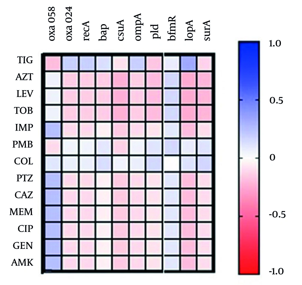 Heatmap illustrating correlations between antibiotic resistance and the presence of carbapenemase and virulence genes in 40 clinical <i>Acinetobacter</i> isolates: The heatmap shows the strength and direction of associations between resistance to different antibiotics and the presence of specific carbapenemase (<i>blaOXA</i>-58 and <i>blaOXA</i>-24) and virulence genes (<i>recA</i>, <i>bap</i>, <i>csuA</i>, <i>ompA</i>, <i>pld</i>, <i>lipA</i>, <i>surA</i>, and <i>bfmR</i>). Blue cells indicate a statistically significant positive correlation, while pink cells indicate a significant negative correlation. Non-colored or white cells represent no significant correlation. Antibiotic abbreviations and gene names are defined in the Methods section (the total number of isolates analyzed was 40). Heatmap illustrating correlations between antibiotic resistance and the presence of carbapenemase and virulence genes in 40 clinical <i>Acinetobacter</i> isolates: The heatmap shows the strength and direction of associations between resistance to different antibiotics and the presence of specific carbapenemase (<i>blaOXA</i>-58 and <i>blaOXA</i>-24) and virulence genes (<i>recA</i>, <i>bap</i>, <i>csuA</i>, <i>ompA</i>, <i>pld</i>, <i>lipA</i>, <i>surA</i>, and <i>bfmR</i>). Blue cells indicate a statistically significant positive correlation, while pink cells indicate a significant negative correlation. Non-colored or white cells represent no significant correlation. Antibiotic abbreviations and gene names are defined in the Methods section (the total number of isolates analyzed was 40).