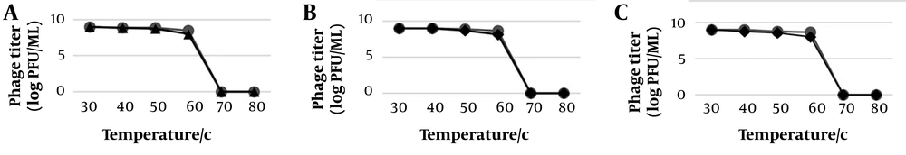 Thermal stability of ; A, PhSal01; B, PhSal04; and C, PhSal06 at temperatures ranging from 30°C to 80°C after 30 minutes (red) and 60 minutes (black) of exposure – phage activity remained stable (log PFU/mL 8 - 9) at ≤ 60°C but was lost at ≥ 70°C. Thermal stability of ; A, PhSal01; B, PhSal04; and C, PhSal06 at temperatures ranging from 30°C to 80°C after 30 minutes (red) and 60 minutes (black) of exposure – phage activity remained stable (log PFU/mL 8 - 9) at ≤ 60°C but was lost at ≥ 70°C.