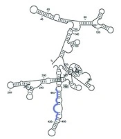 In-Silico Development of Effective Short Hairpin RNA Molecules Targeting the Transactivator Region of Human Hepatitis B Virus