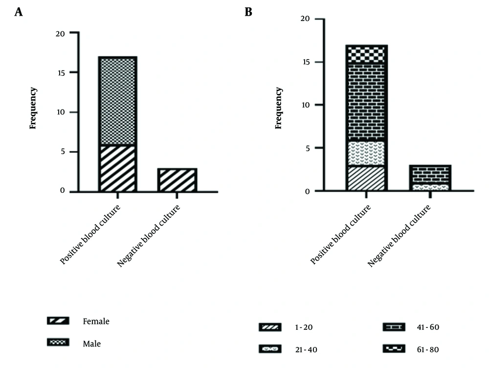 A, distribution of infective endocarditis (IE) patients by blood culture results stratified by gender; B, distribution of IE patients by blood culture results across different age groups A, distribution of infective endocarditis (IE) patients by blood culture results stratified by gender; B, distribution of IE patients by blood culture results across different age groups